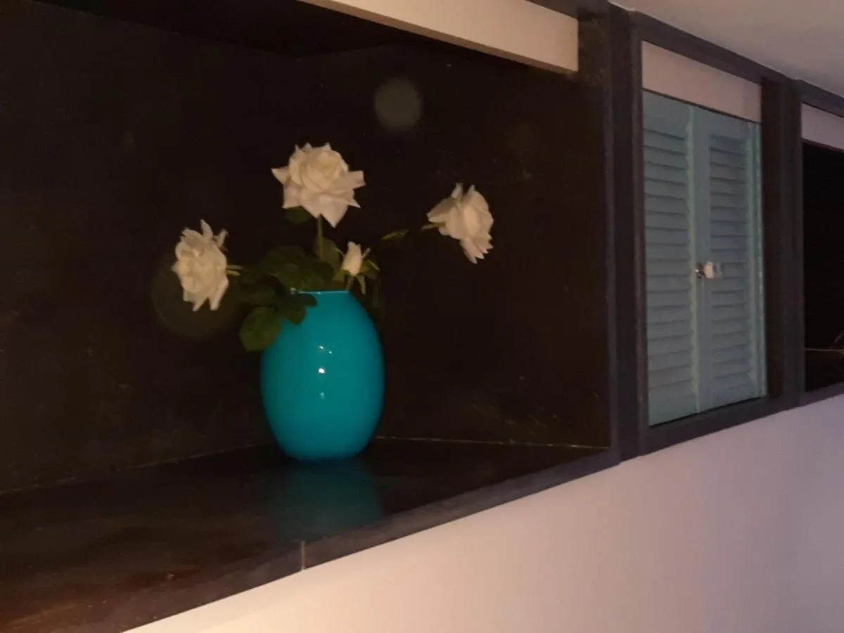 Ferienwohnung Zeelucht Zandvoort Niederlande